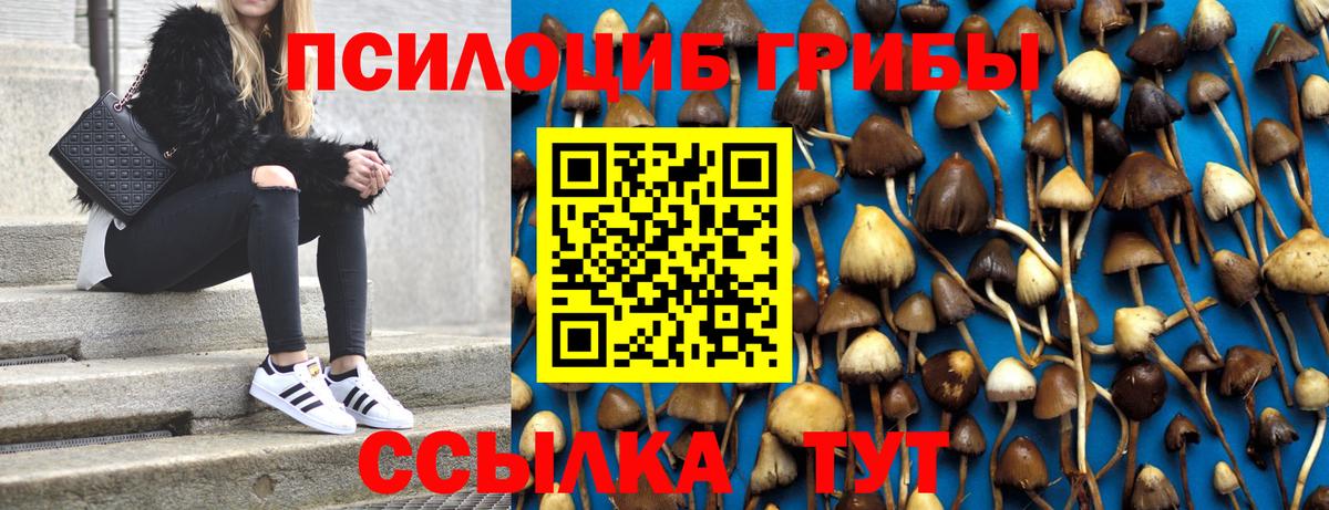 Псилоцибиновые грибы MAGIC MUSHROOMS  Вход с VPN  Альметьевск 